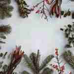 Holiday Decorations