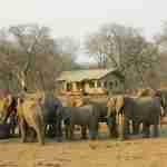 Eco-Friendly Resorts
