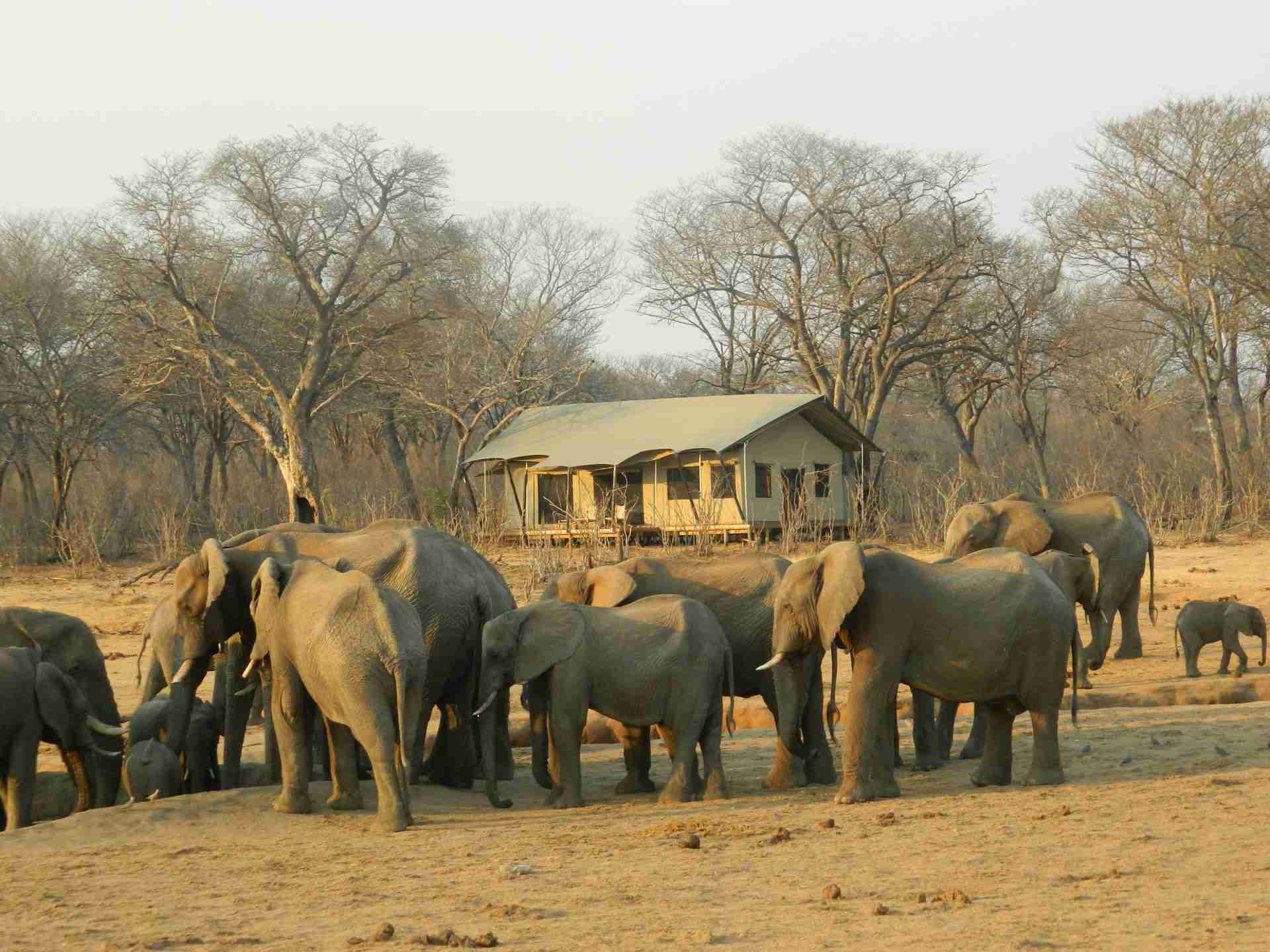 Eco-Friendly Resorts