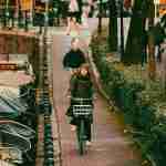 eco-friendly travel, sustainable tourism