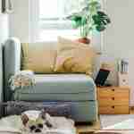 baby boomer trends