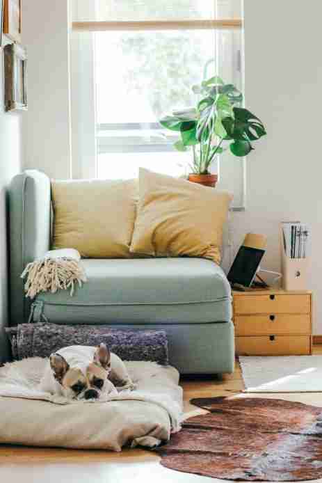 baby boomer trends