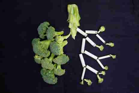 bone health foods, calcium sources