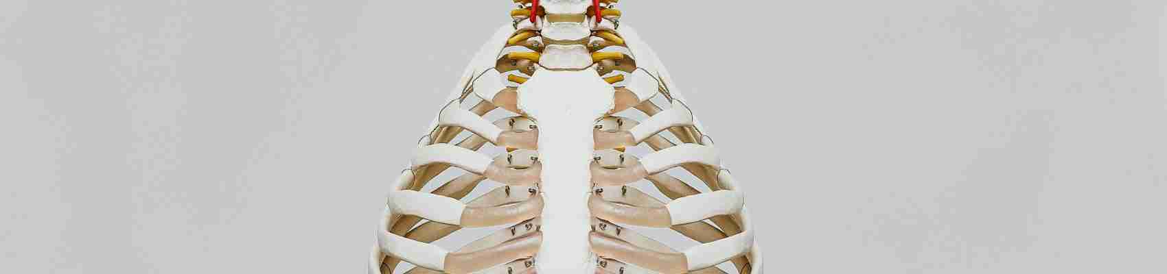 osteoporosis exercises, low-impact bone strengthening