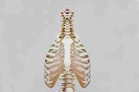 osteoporosis exercises, low-impact bone strengthening
