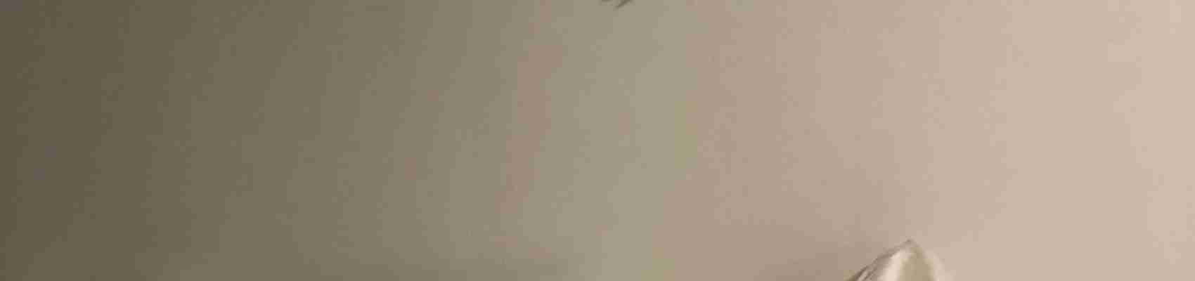 bed bug removal, permanent bedbug solution