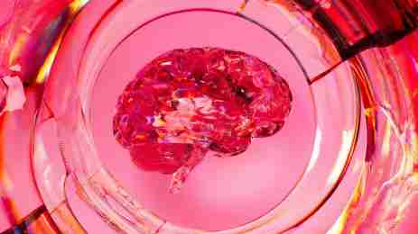brain boosting drinks, cognitive health for seniors