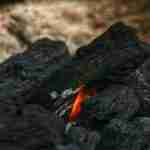 outdoor charcoal grills,charcoal grills for sale